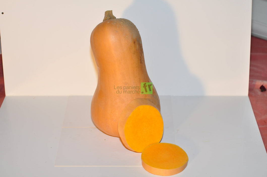 Courge butternut - pièce 1,4 kg à 1,6 kg